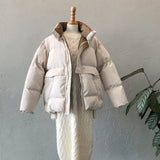 2019 Women Thick Winter Coat Stand Collar Women Jacket Coat Oversize Loose Coat Outerwear Female Casaco Feminino Parkas